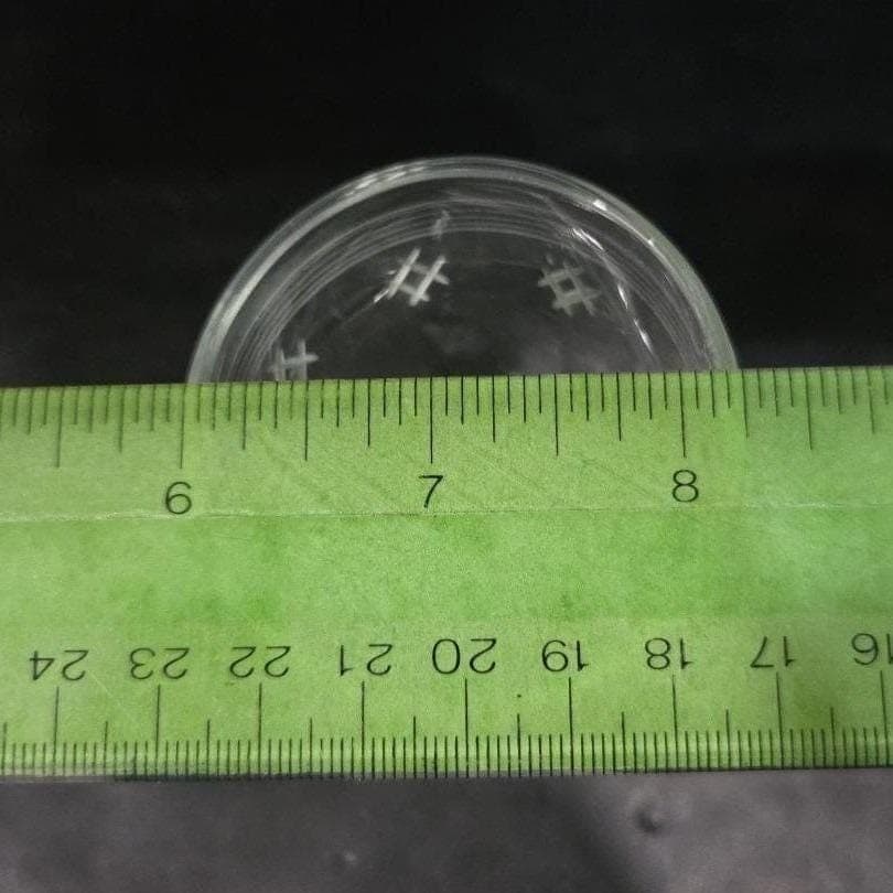 Criss-Cross Bands Liqueur Glass, 3oz Clear Cordial Stemware, Mid-Century Barware - Thumbnail 3
