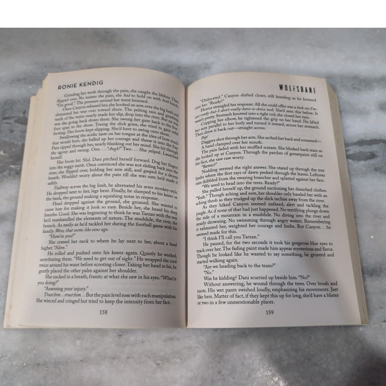 Ronie Kendig Discarded Heroes Wolfsbane & Firethorn Military Suspense Books - Thumbnail 10