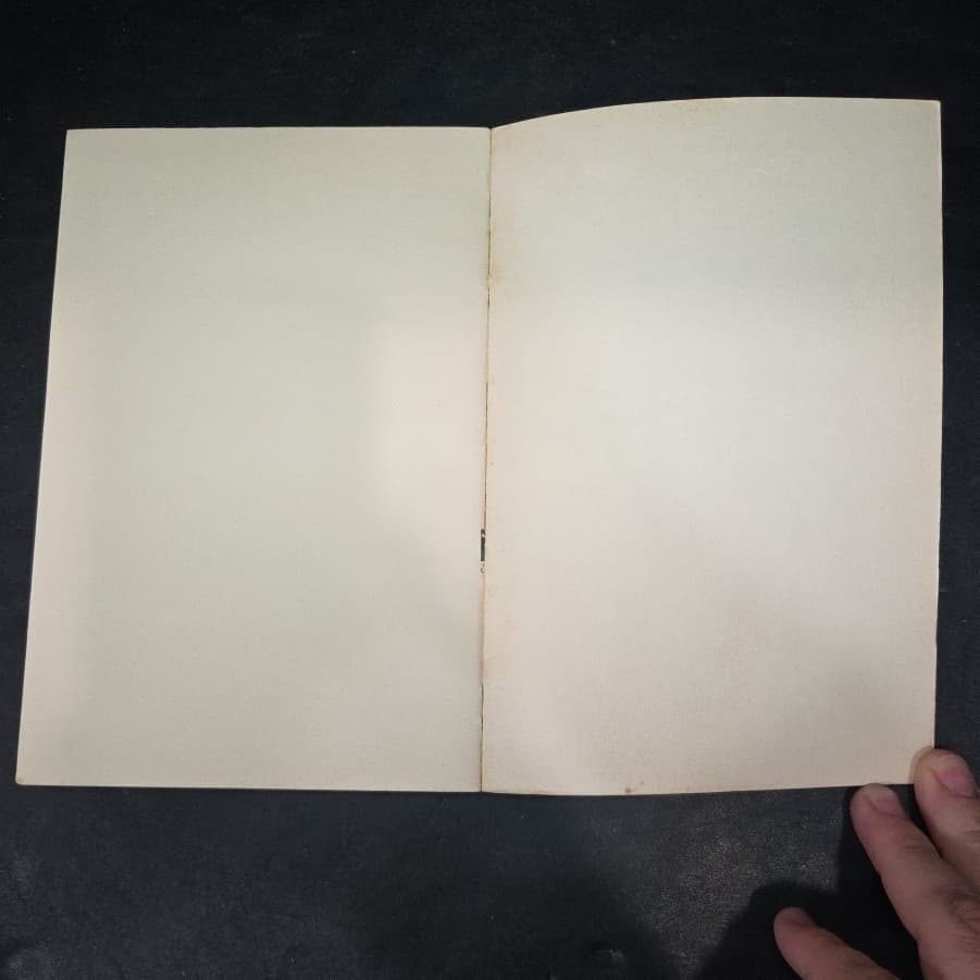 France Empire and Republic 1850-1940 David Thomson 1968 Harper & Row Paperback - Thumbnail 7
