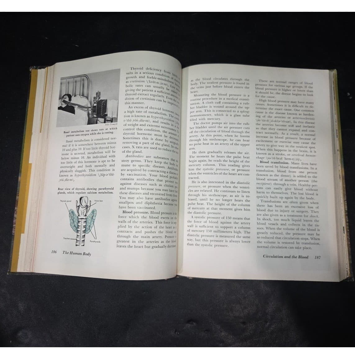 Broadening Worlds of Science 8 Jacobson King Killie American Book Company Vintag - Thumbnail 6