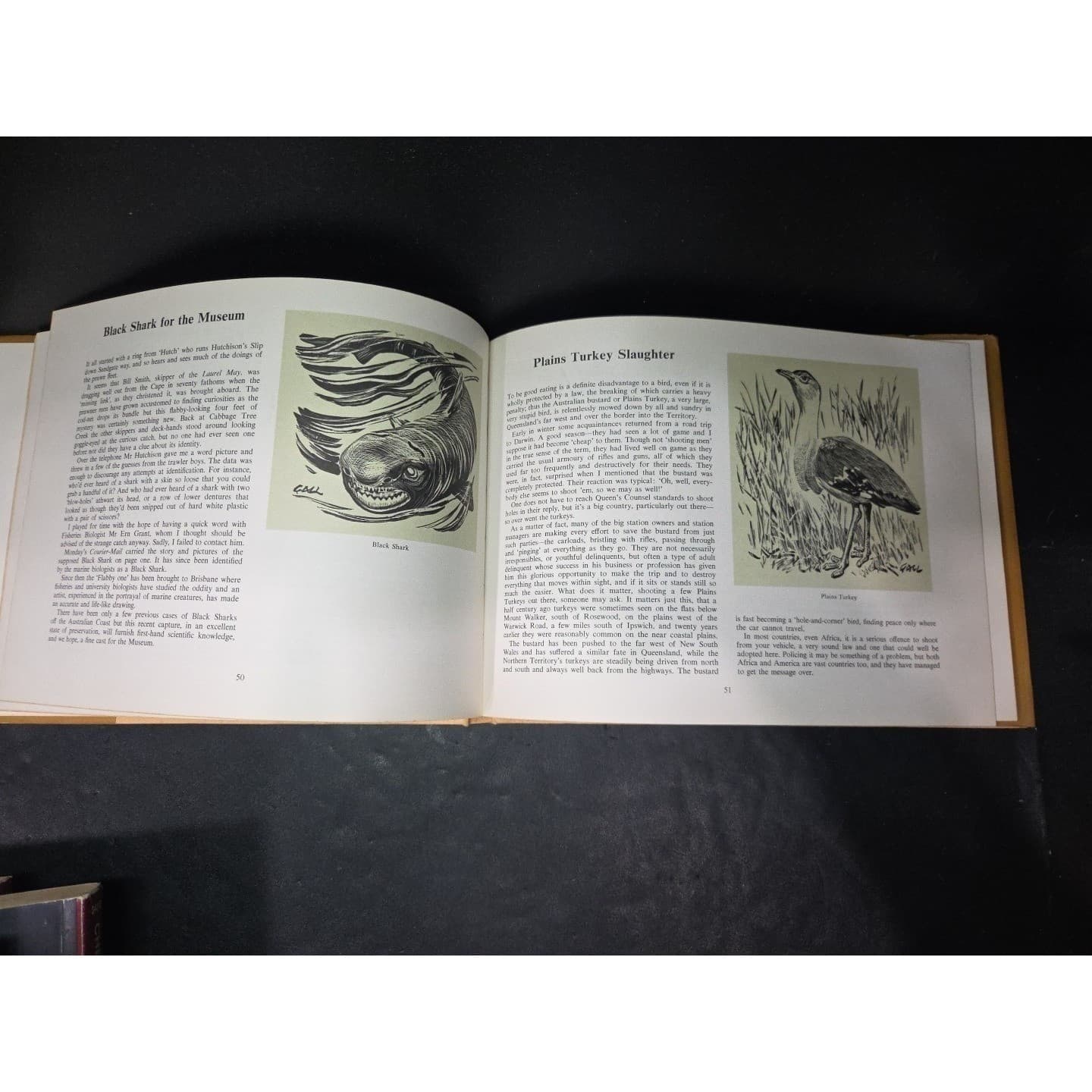 Going Bush with Ian Gall Hardcover Australian Wildlife Nature Jacaranda Press - Thumbnail 6
