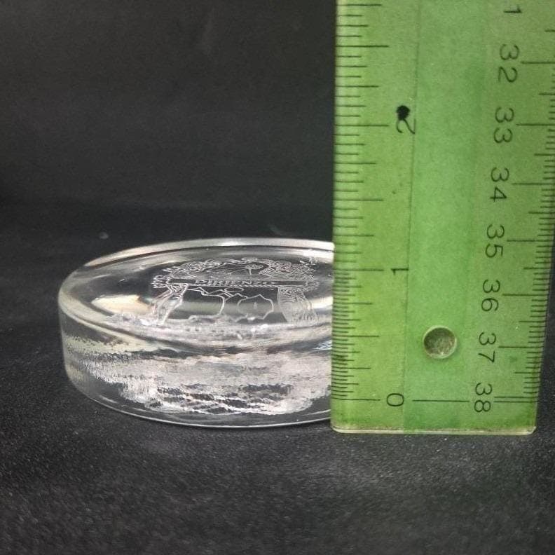 Shield Coat Of Arms Glass Paperweight, Etched Dirienzo Crest, Office Decor - Thumbnail 3