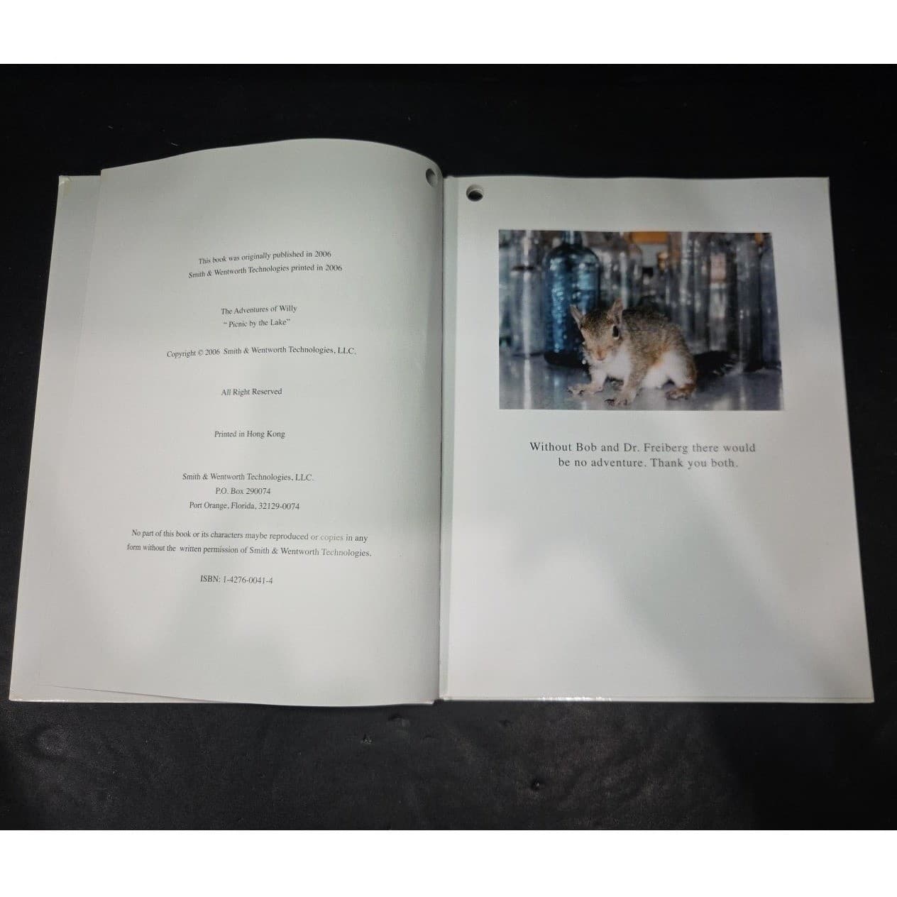 The Adventures of Willy Picnic by the Lake Sherrie Wentworth Hardcover 2006 - Thumbnail 5