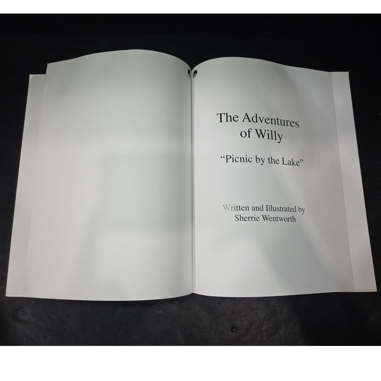 The Adventures of Willy Picnic by the Lake Sherrie Wentworth Hardcover 2006 - Thumbnail 4
