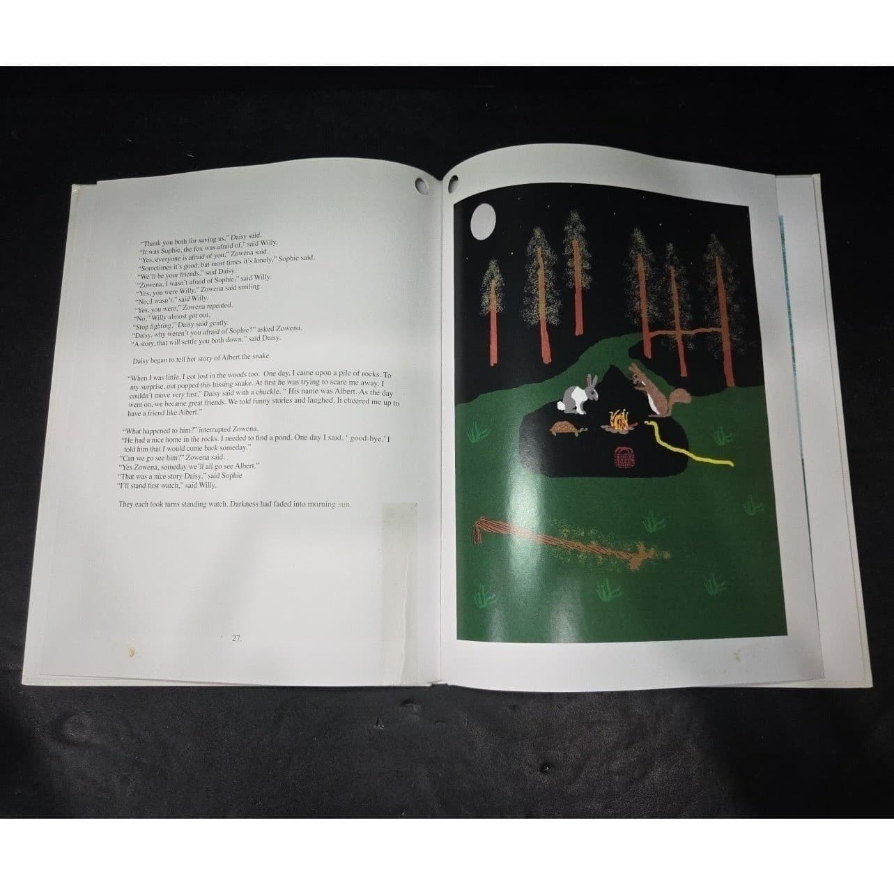 The Adventures of Willy Picnic by the Lake Sherrie Wentworth Hardcover 2006 - Thumbnail 6
