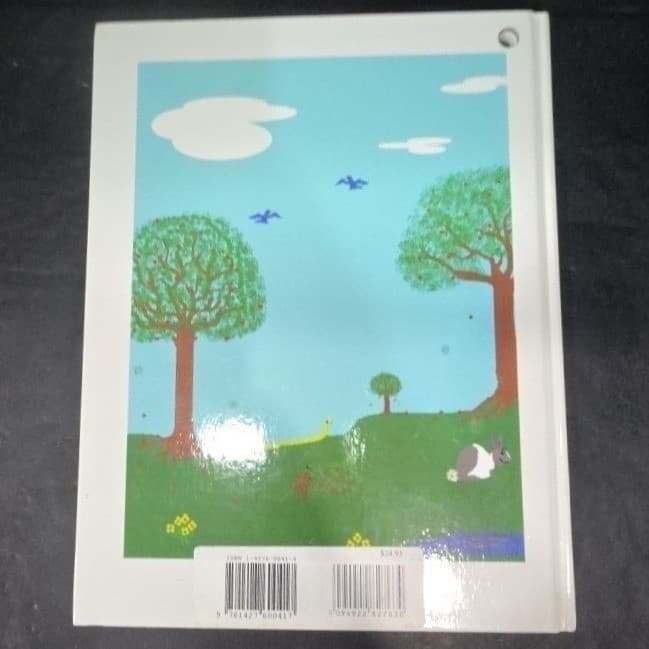 The Adventures of Willy Picnic by the Lake Sherrie Wentworth Hardcover 2006 - Thumbnail 8