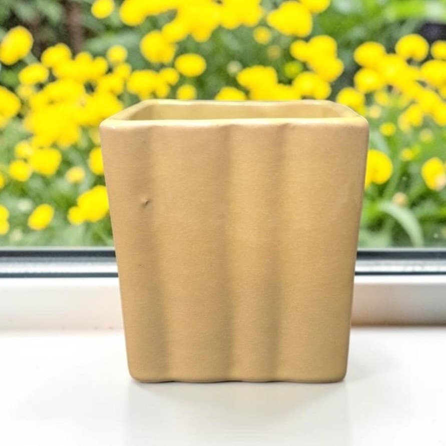 Ruffled Edge Yellow Indoor Planter, Vintage Square Ceramic Succulent Pot Vase