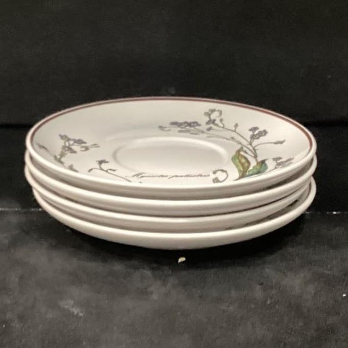 Villeroy & Boch Botanica Teacup and Saucers, Set of 4, Vintage Botanical Design - Thumbnail 12