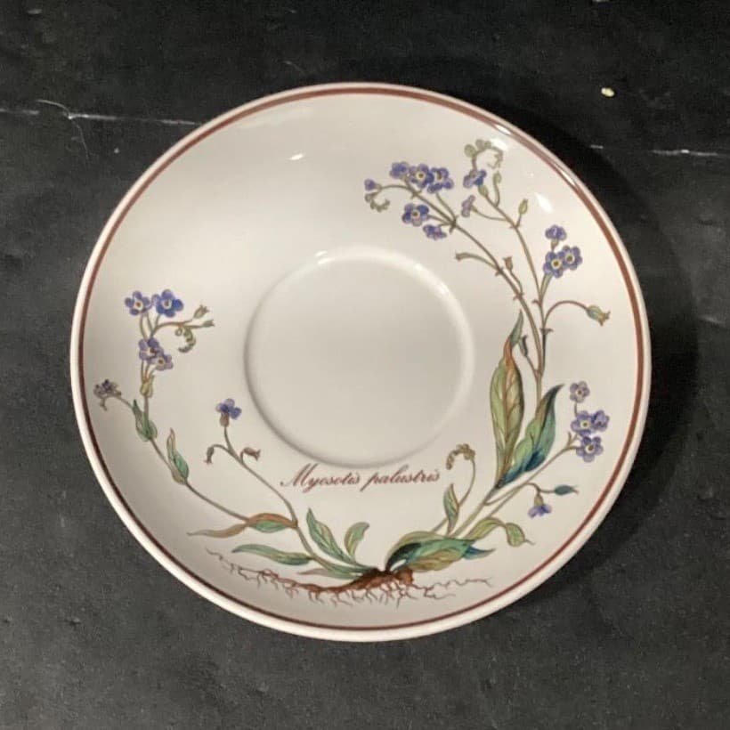Villeroy & Boch Botanica Teacup and Saucers, Set of 4, Vintage Botanical Design - Thumbnail 5
