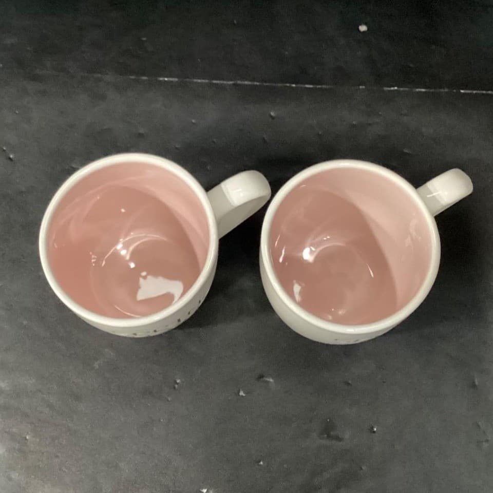 1872 Spring Fever Large Coffee Cups, Set of 2, Rae Dunn Style Drinkware - Thumbnail 4