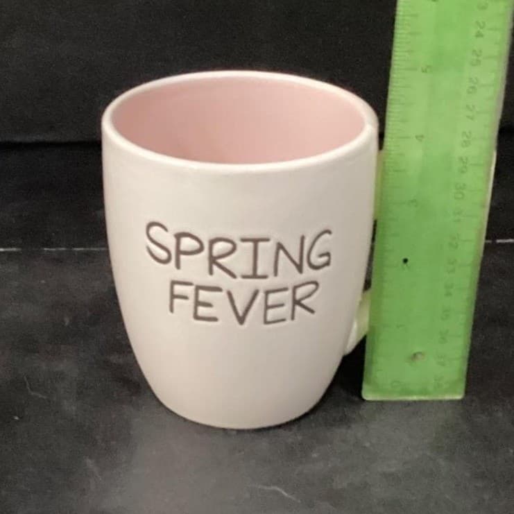 1872 Spring Fever Large Coffee Cups, Set of 2, Rae Dunn Style Drinkware - Thumbnail 6