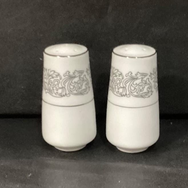 Brookwood Porcelain by Interpace Corporation M2001 Santiago Salt & Pepper Shaker - Thumbnail 2
