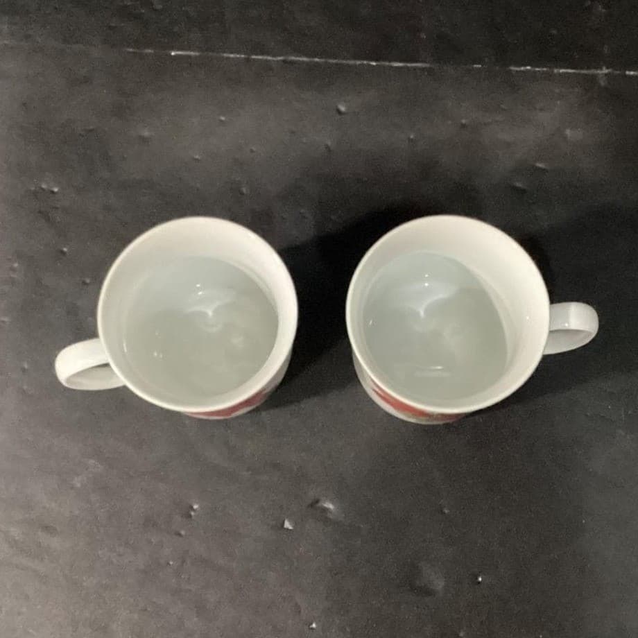 Watercolors Block Spal Poinsettia Coffee Cups, Set of 2 Mary Lou Goertzen Design - Thumbnail 3