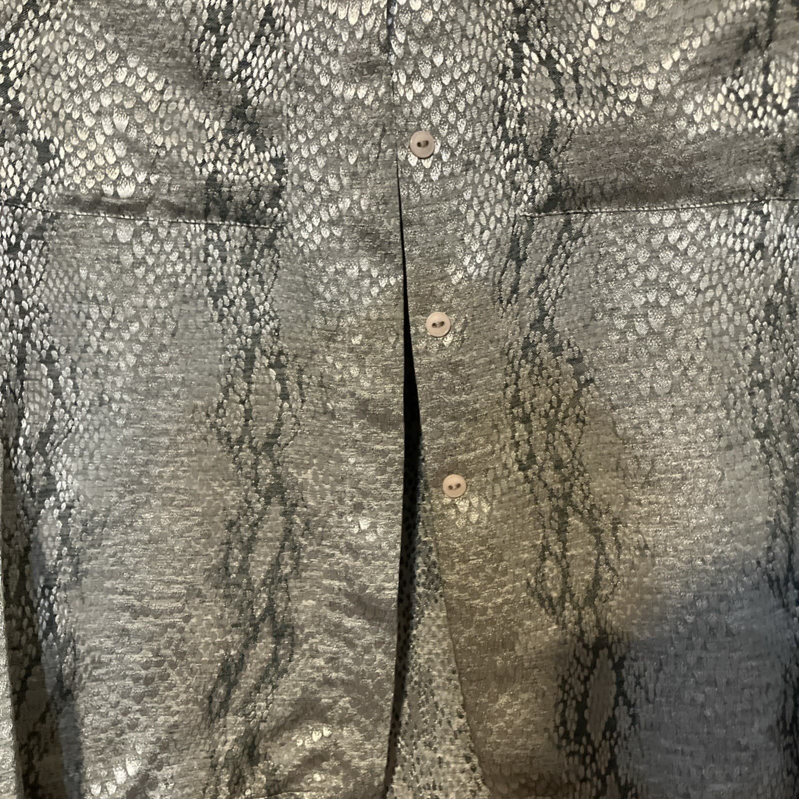 Alain Gerard Silver Snakeskin Print Button Down, Women's Size 4 Metallic Blouse - Thumbnail 6