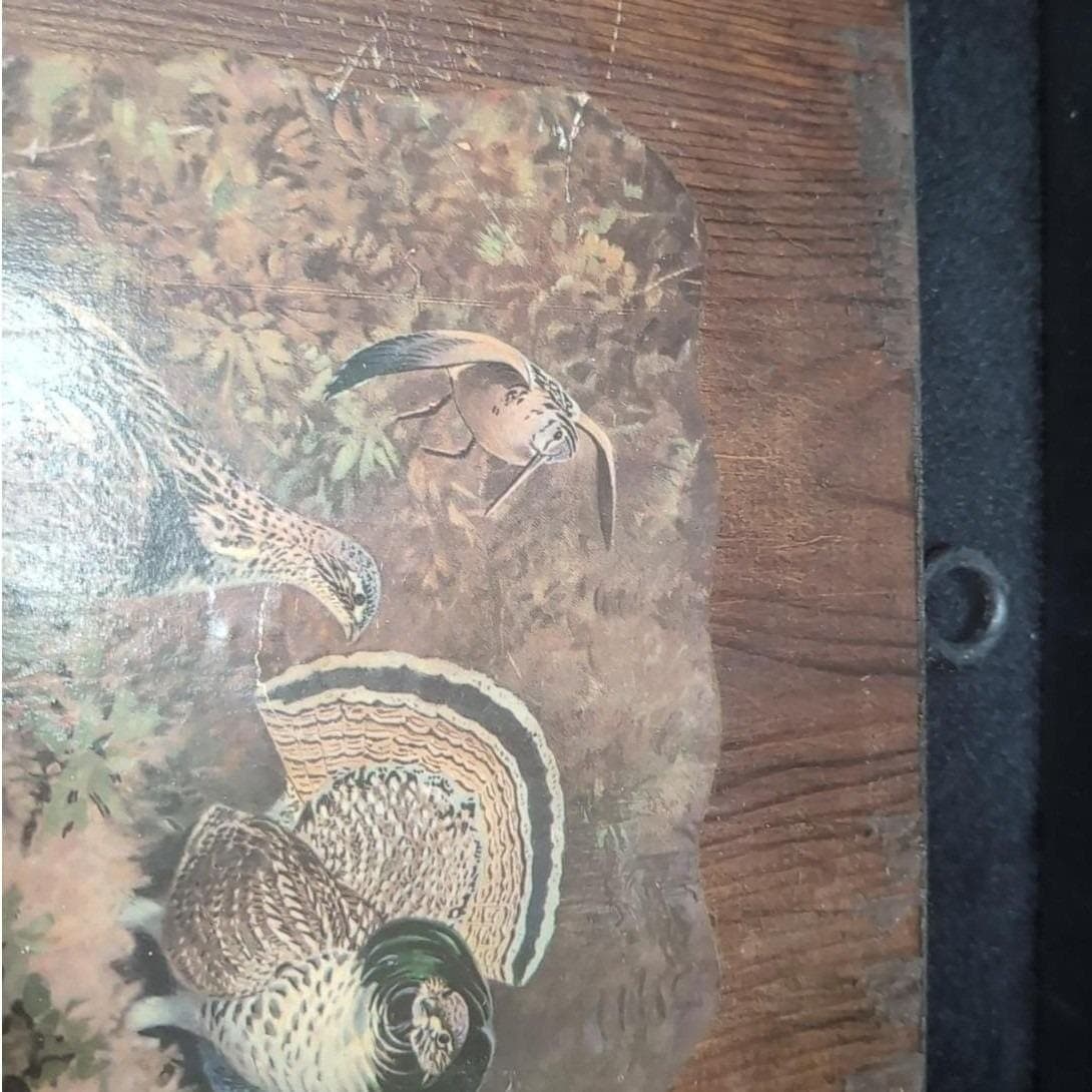 Lynn Bogue Hunt Game Birds Of America Print, Wood Paneled Artwork, Wall Hanging - Thumbnail 5