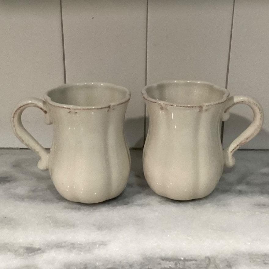 Casafina Style Rustic Coffee Mugs Tea Cups Ribbed Farmhouse Set Of 2 - Thumbnail 9