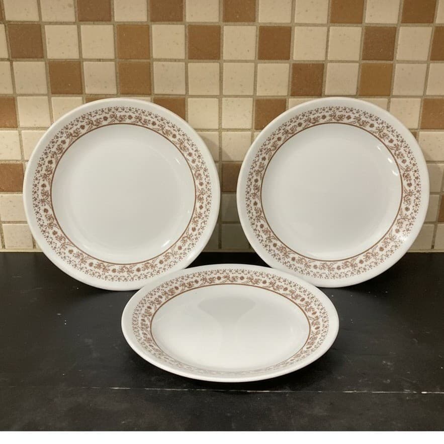 Corelle Summer Impressions Salad Plates, Set of 3, Vintage Ginger Brown Border