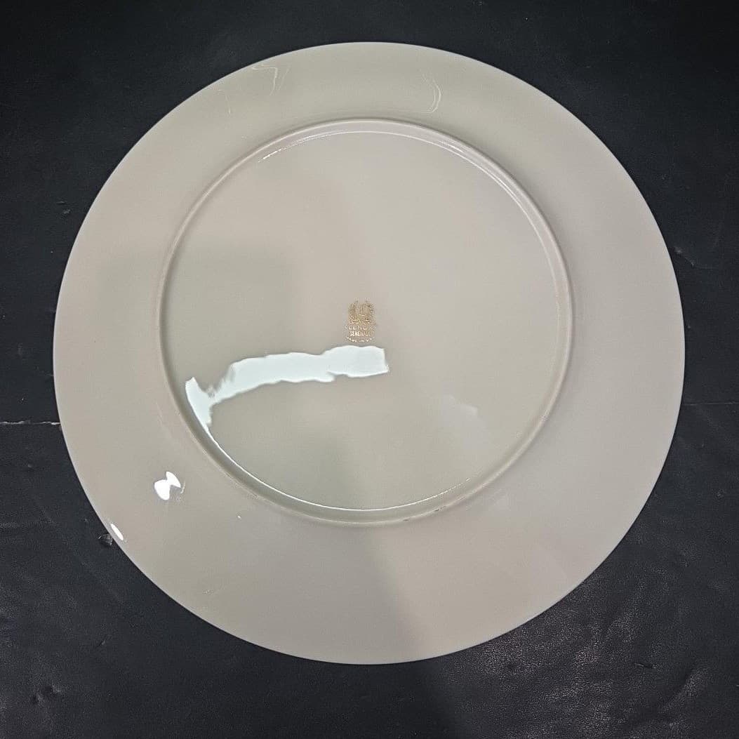 Lenox Serenade Dinner Plates, Set of 2, Vintage Floral Replacement Dinnerware - Thumbnail 4
