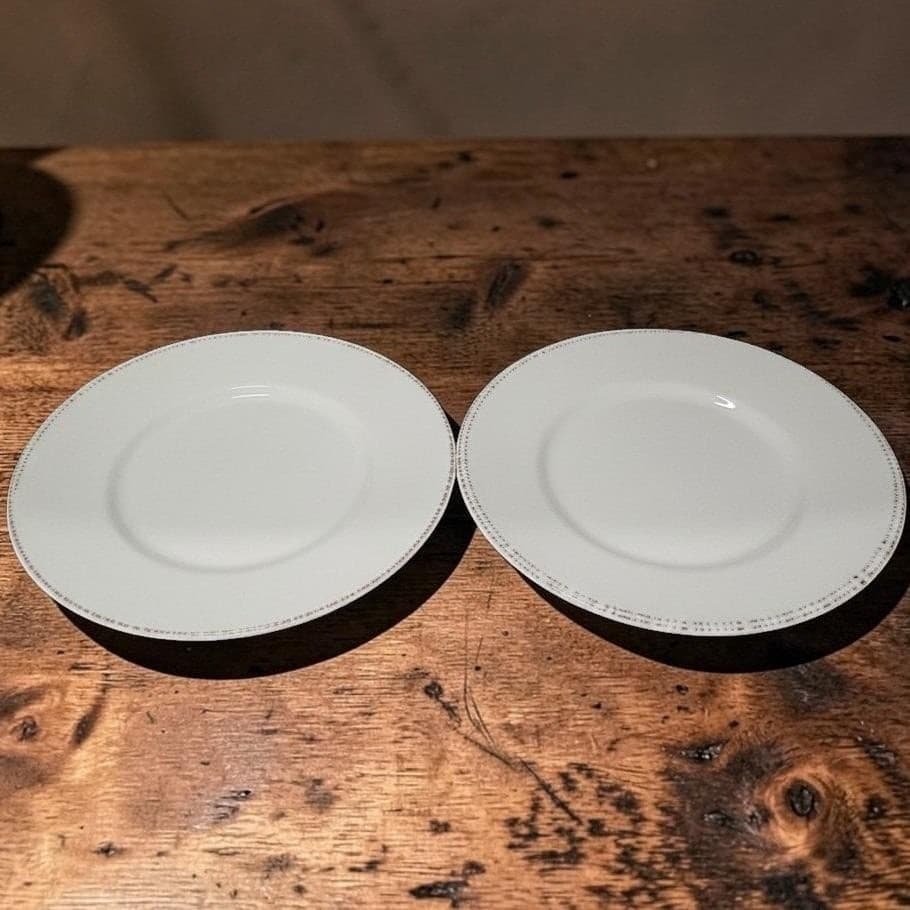 Libbey Farmhouse Ivory Dinner Plates, Set of 2, Rustic Tableware, FH-503 242