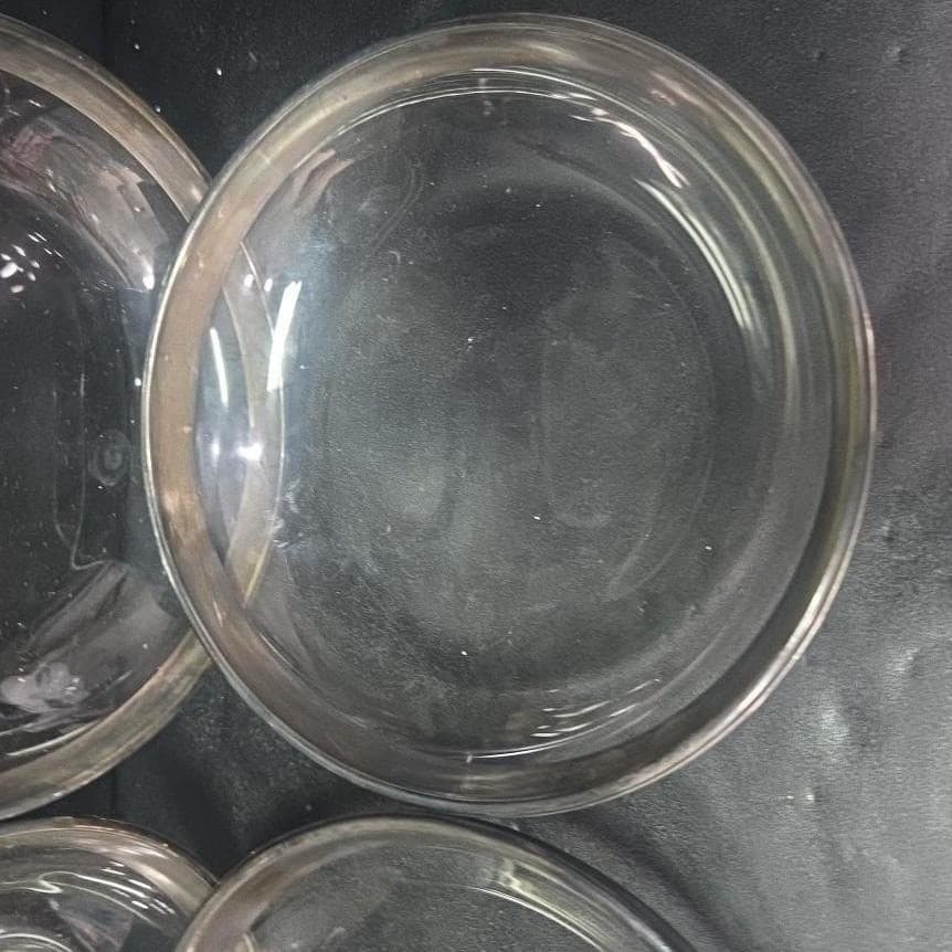 Platinum Trim Glass Dessert Bowls, Set of 4, Vintage Clear Glassware, Tableware - Thumbnail 3