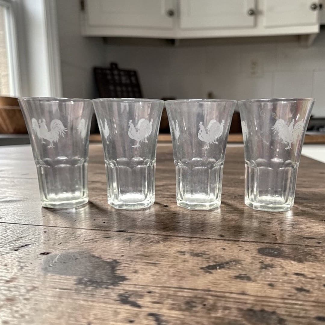 Pfaltzgraff Daybreak Frosted Roosters Tumblers, Set of 4 Libbey Duratuff Glasses