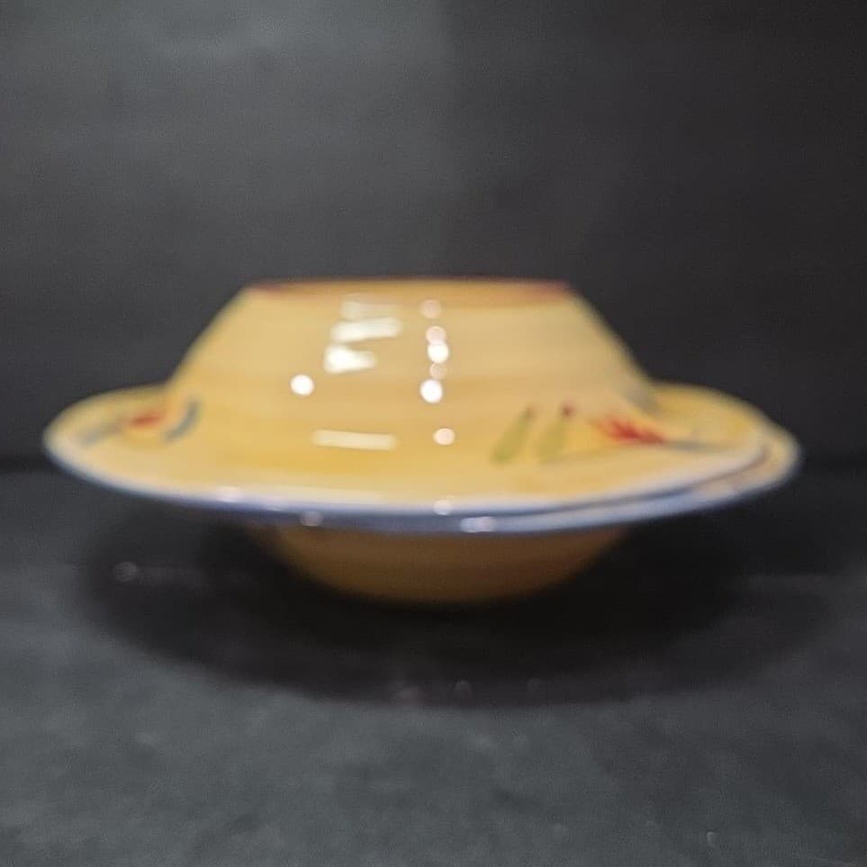 Pier 1 Imports Elizabeth Soup Bowls, Set Of 2, Dinnerware, Replacement Tableware - Thumbnail 10