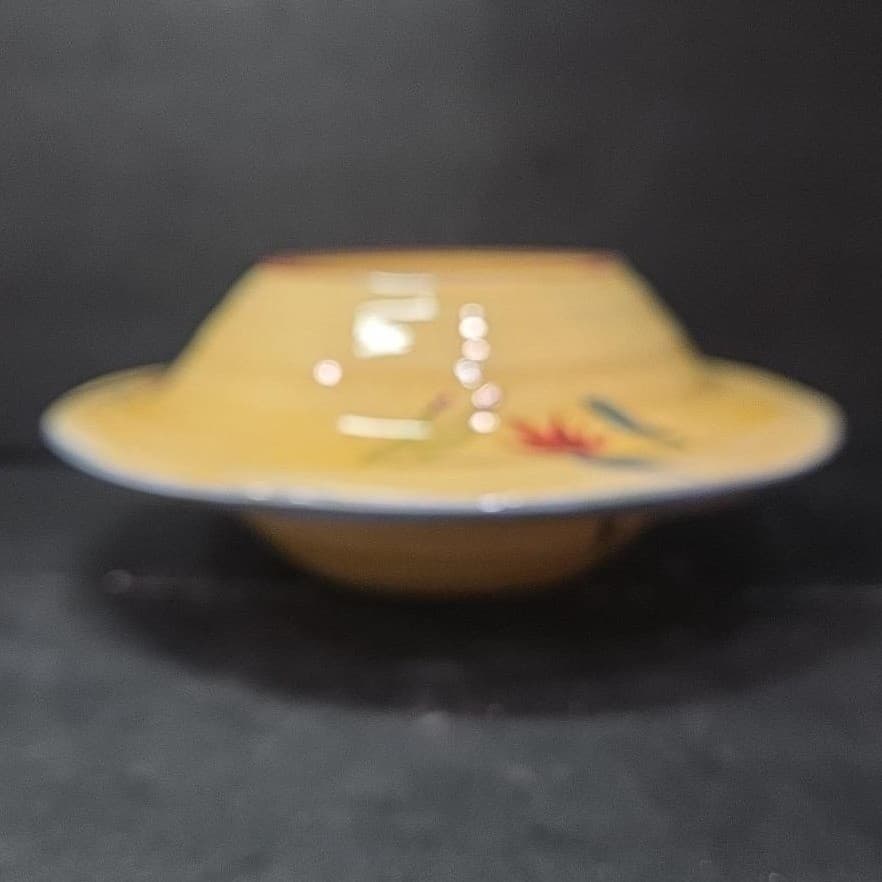 Pier 1 Imports Elizabeth Soup Bowls, Set Of 2, Dinnerware, Replacement Tableware - Thumbnail 11