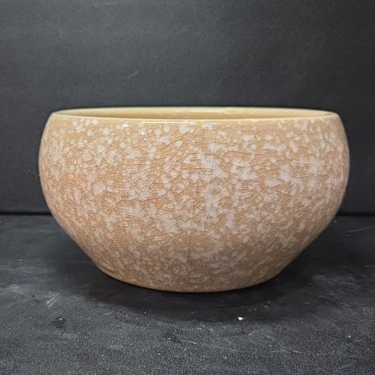 WoodWick Island Coconut Speckled Bowl, Empty Ceramic Candle Vessel, Pottery - Thumbnail 5