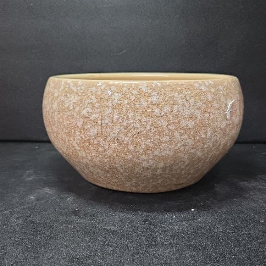 WoodWick Island Coconut Speckled Bowl, Empty Ceramic Candle Vessel, Pottery - Thumbnail 4