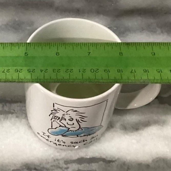 Hallmark Shoebox "If It's An Emergency Call 911" Coffee Cup, Novelty Humor Mug - Thumbnail 6