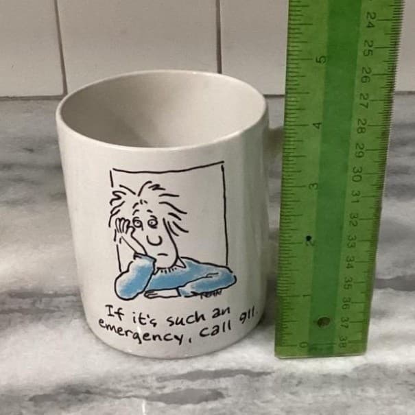 Hallmark Shoebox "If It's An Emergency Call 911" Coffee Cup, Novelty Humor Mug - Thumbnail 5