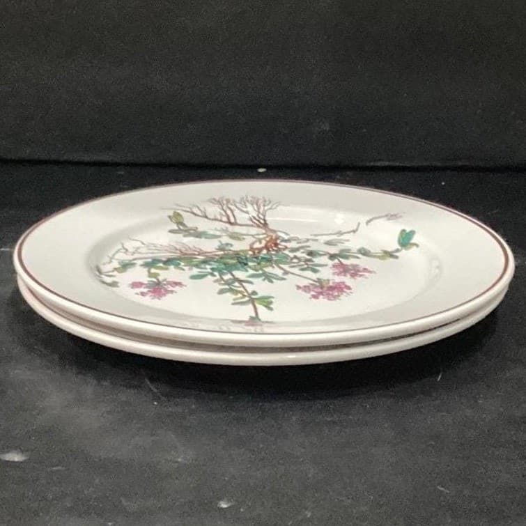 Villeroy & Boch Botanica Salad Plates, Set of 2, Thymus Pulegioides With Roots - Thumbnail 9