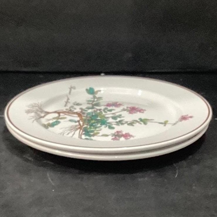 Villeroy & Boch Botanica Salad Plates, Set of 2, Thymus Pulegioides With Roots - Thumbnail 10