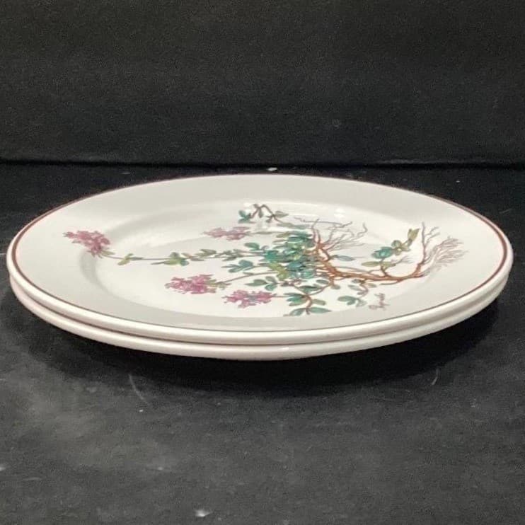 Villeroy & Boch Botanica Salad Plates, Set of 2, Thymus Pulegioides With Roots - Thumbnail 8