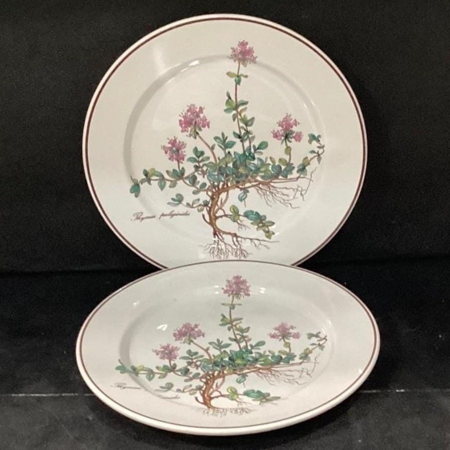 Villeroy & Boch Botanica Salad Plates, Set of 2, Thymus Pulegioides With Roots - Thumbnail 6