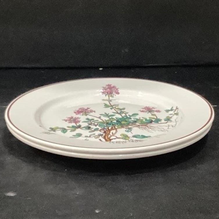 Villeroy & Boch Botanica Salad Plates, Set of 2, Thymus Pulegioides With Roots - Thumbnail 7