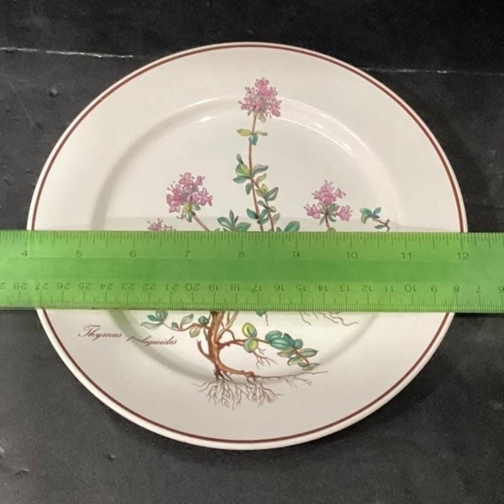 Villeroy & Boch Botanica Salad Plates, Set of 2, Thymus Pulegioides With Roots - Thumbnail 2
