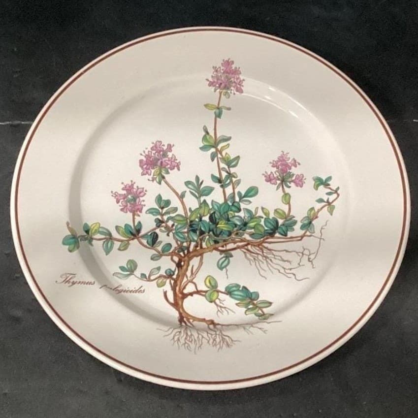 Villeroy & Boch Botanica Salad Plates, Set of 2, Thymus Pulegioides With Roots - Thumbnail 5