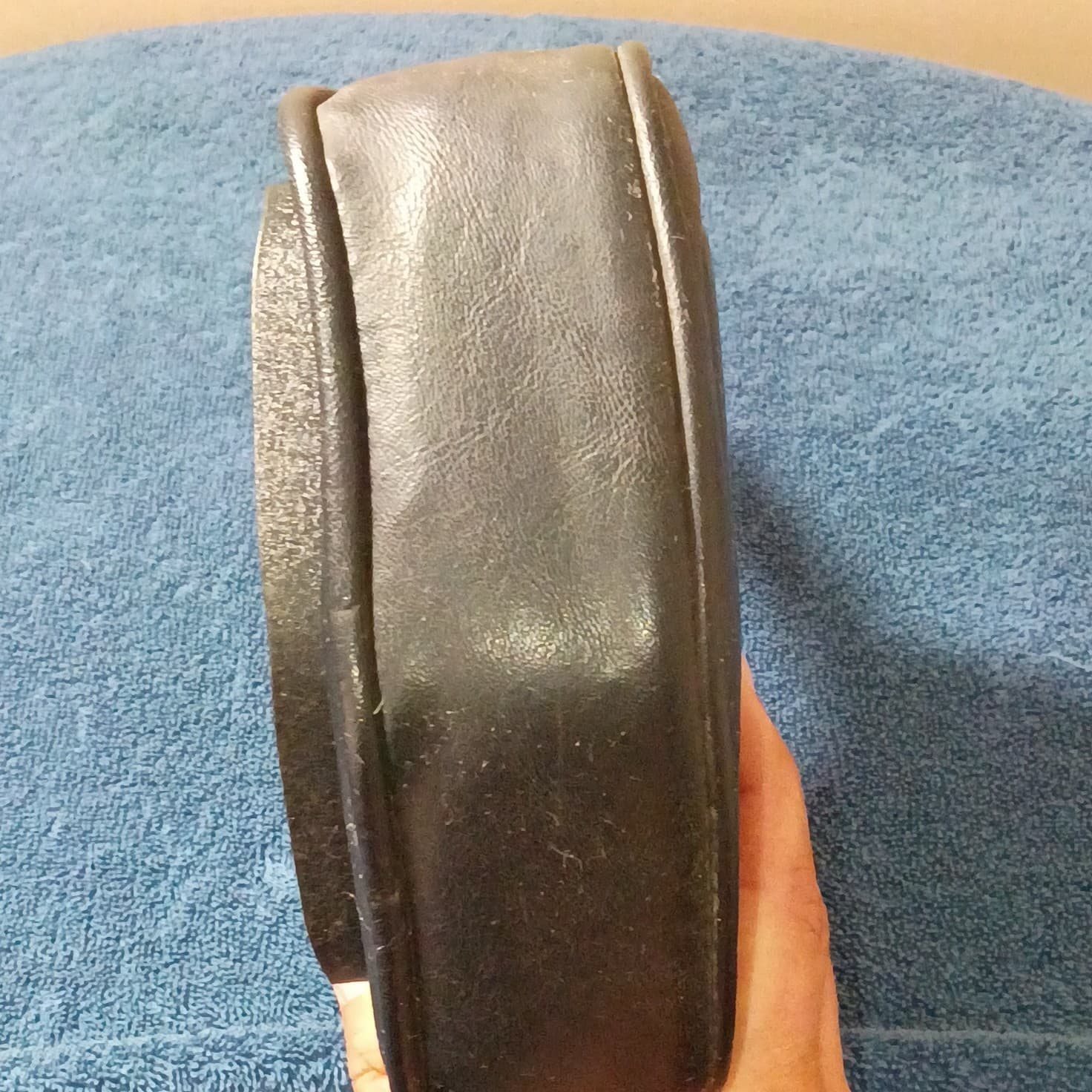 HARLEY DAVIDSON USA GOLDEN EAGLE HD Sissy Bar BACKREST (P24016380) - Thumbnail 4