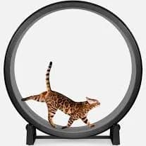 Cat Exercise Wheel CEW01 - Thumbnail 3