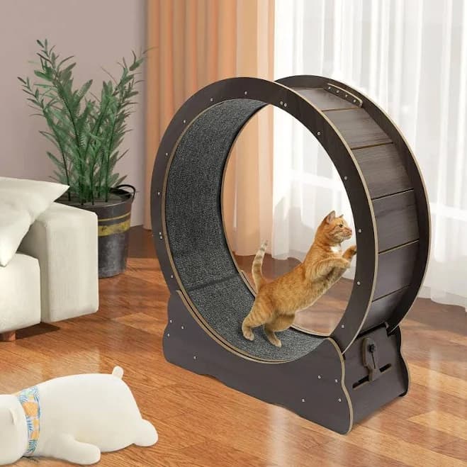 Cat Exercise Wheel CEW01 - Thumbnail 2