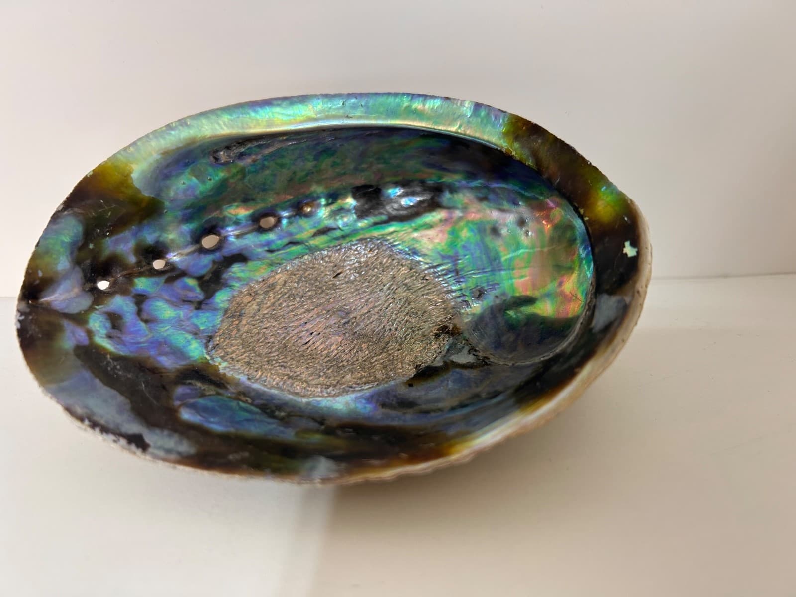 Abalone Shell Trinket Dish Smudging Bowl 5X4 Beautiful - Thumbnail 11