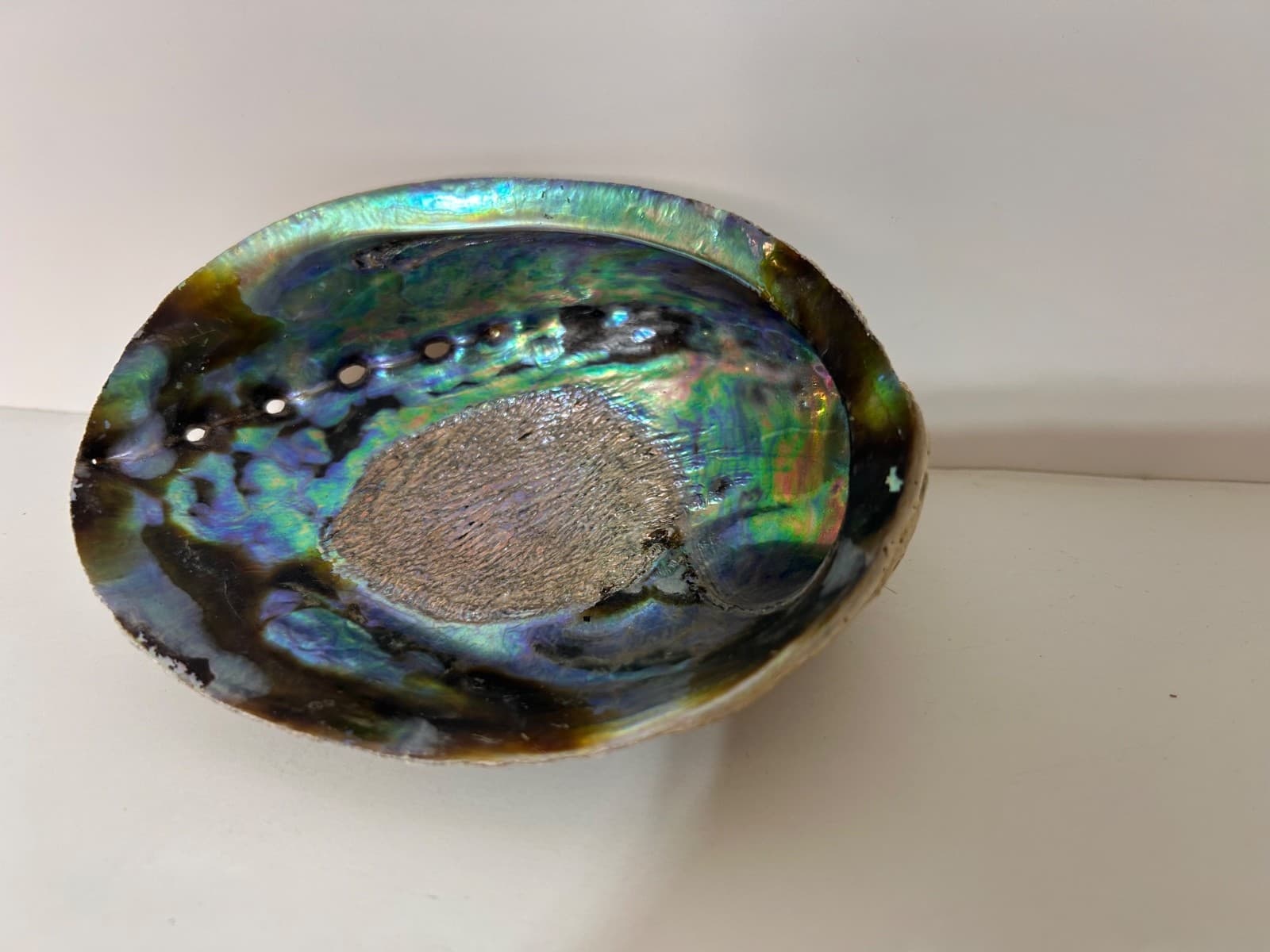 Abalone Shell Trinket Dish Smudging Bowl 5X4 Beautiful - Thumbnail 5