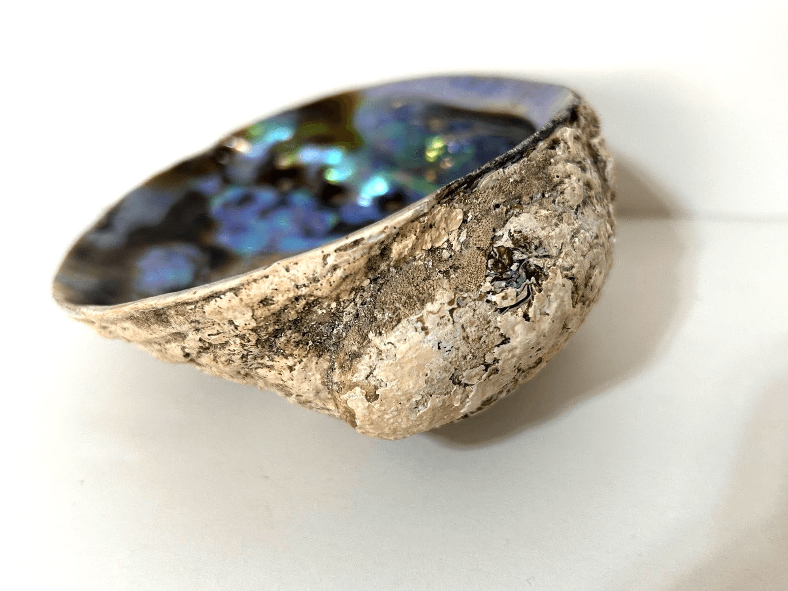 Abalone Shell Trinket Dish Smudging Bowl 5X4 Beautiful - Thumbnail 2