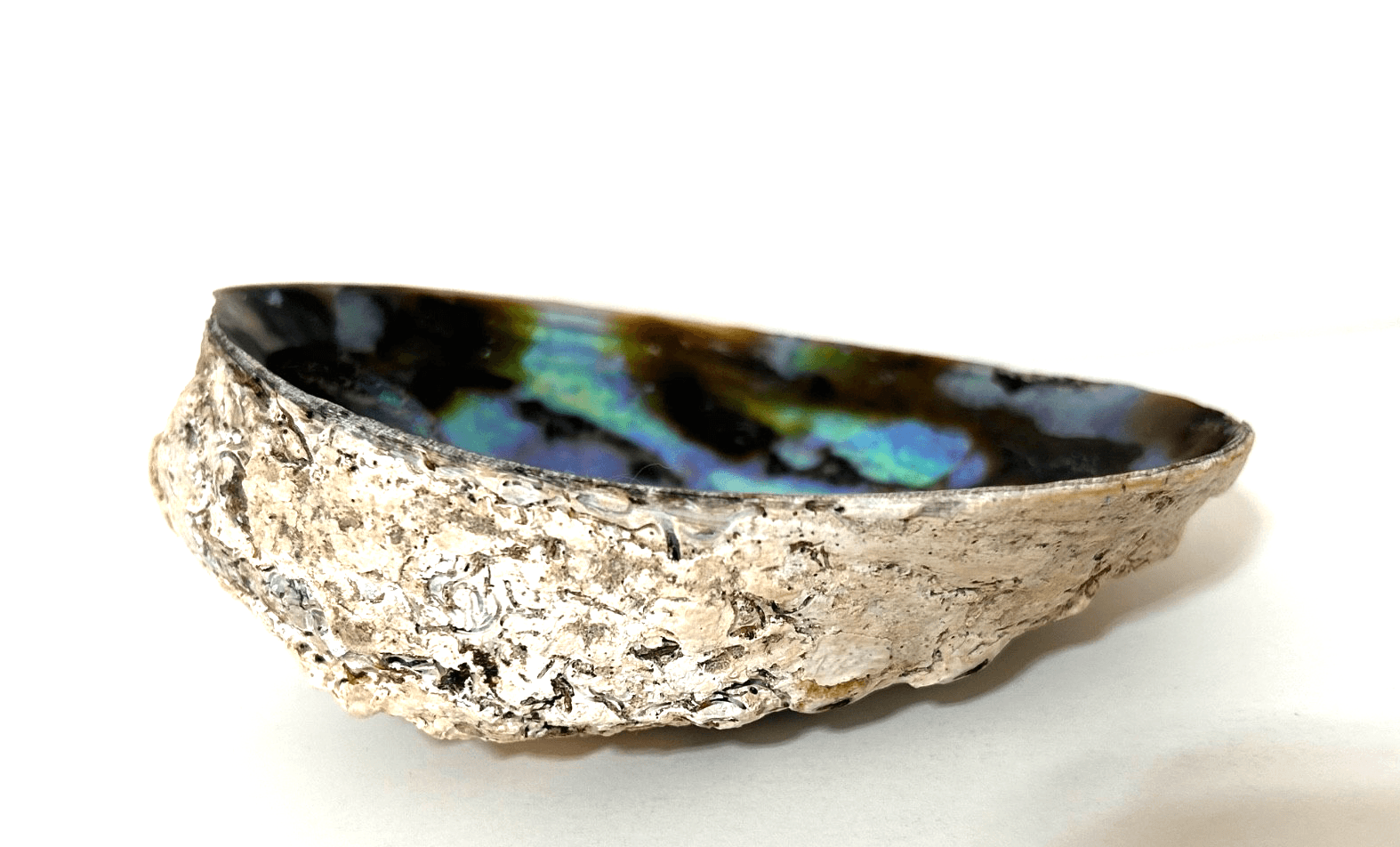 Abalone Shell Trinket Dish Smudging Bowl 5X4 Beautiful - Thumbnail 4