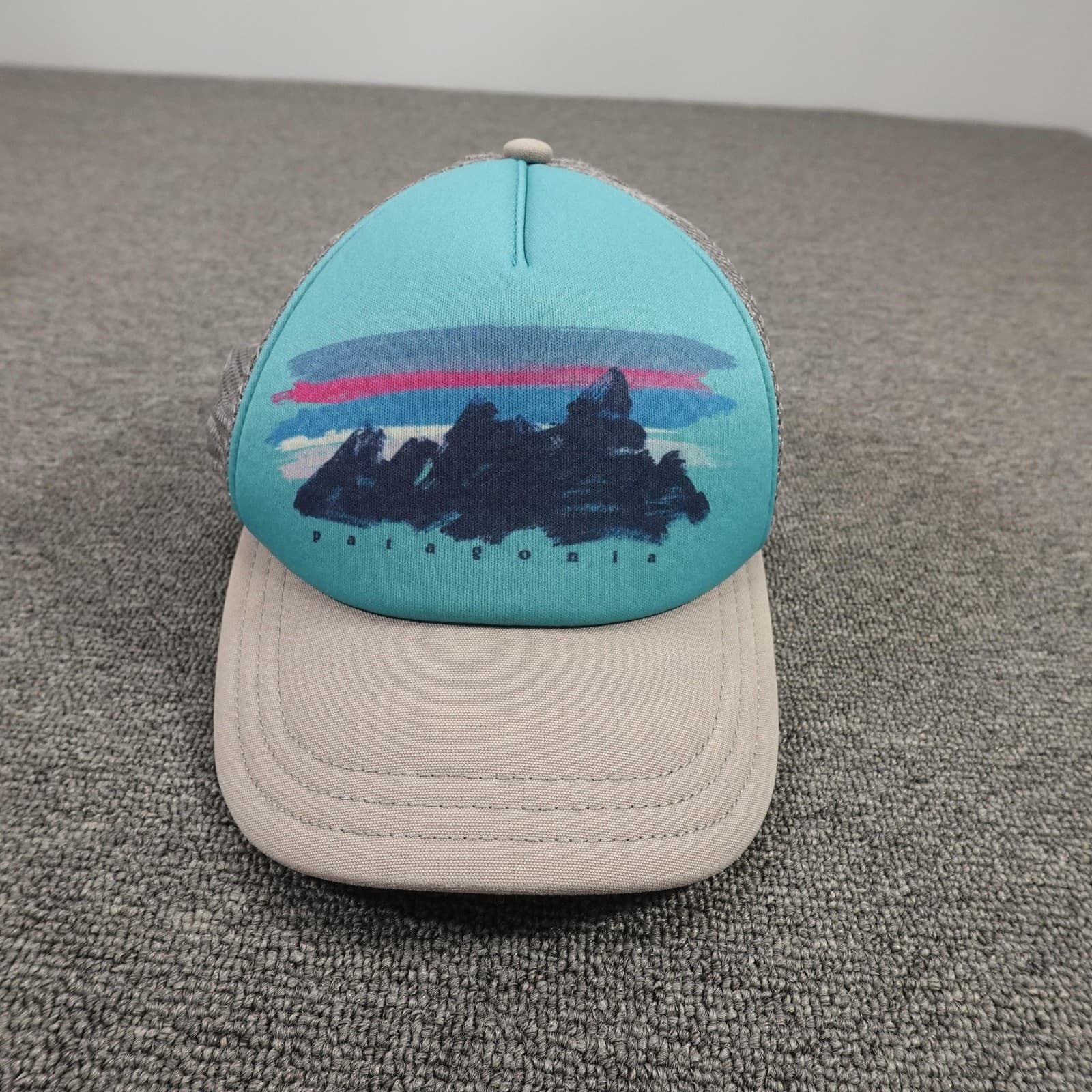 Patagonia Hat Cap Snap Back Mens Teal Gray Mesh Trucker Mountain Graphic