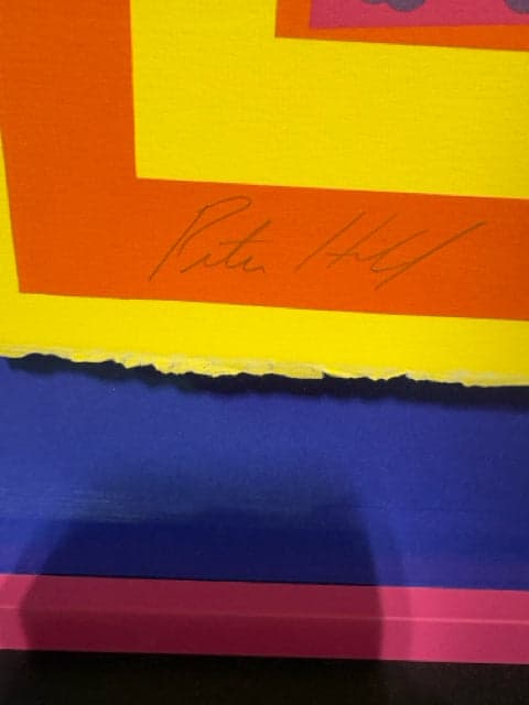 Original Geometric Grid Artwork Signed By Peter Halley In Black Frame - Thumbnail 3