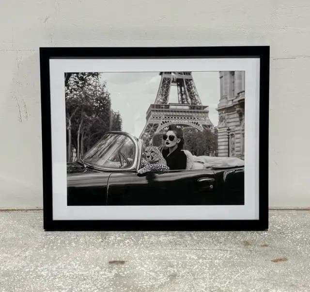 Woman With Cheetah In Car In Paris Framed Print