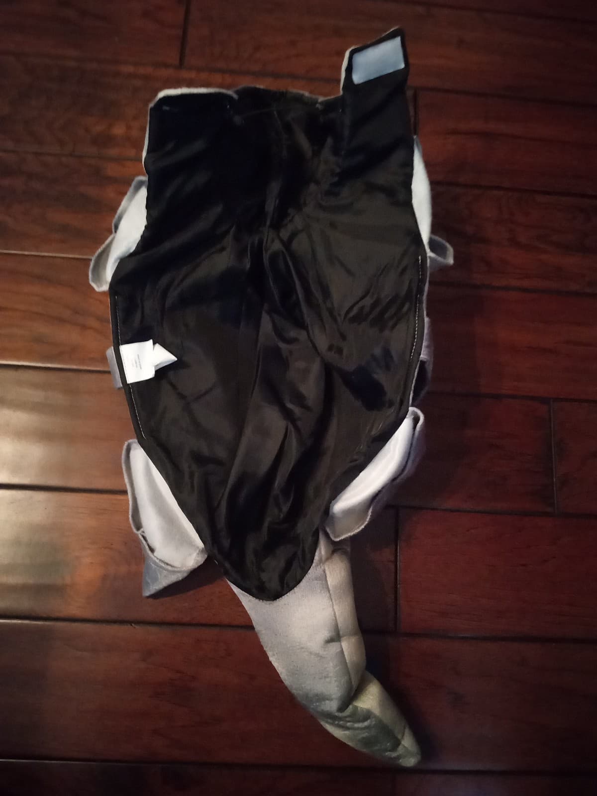 Dinosaur Dog Costume - Thumbnail 2