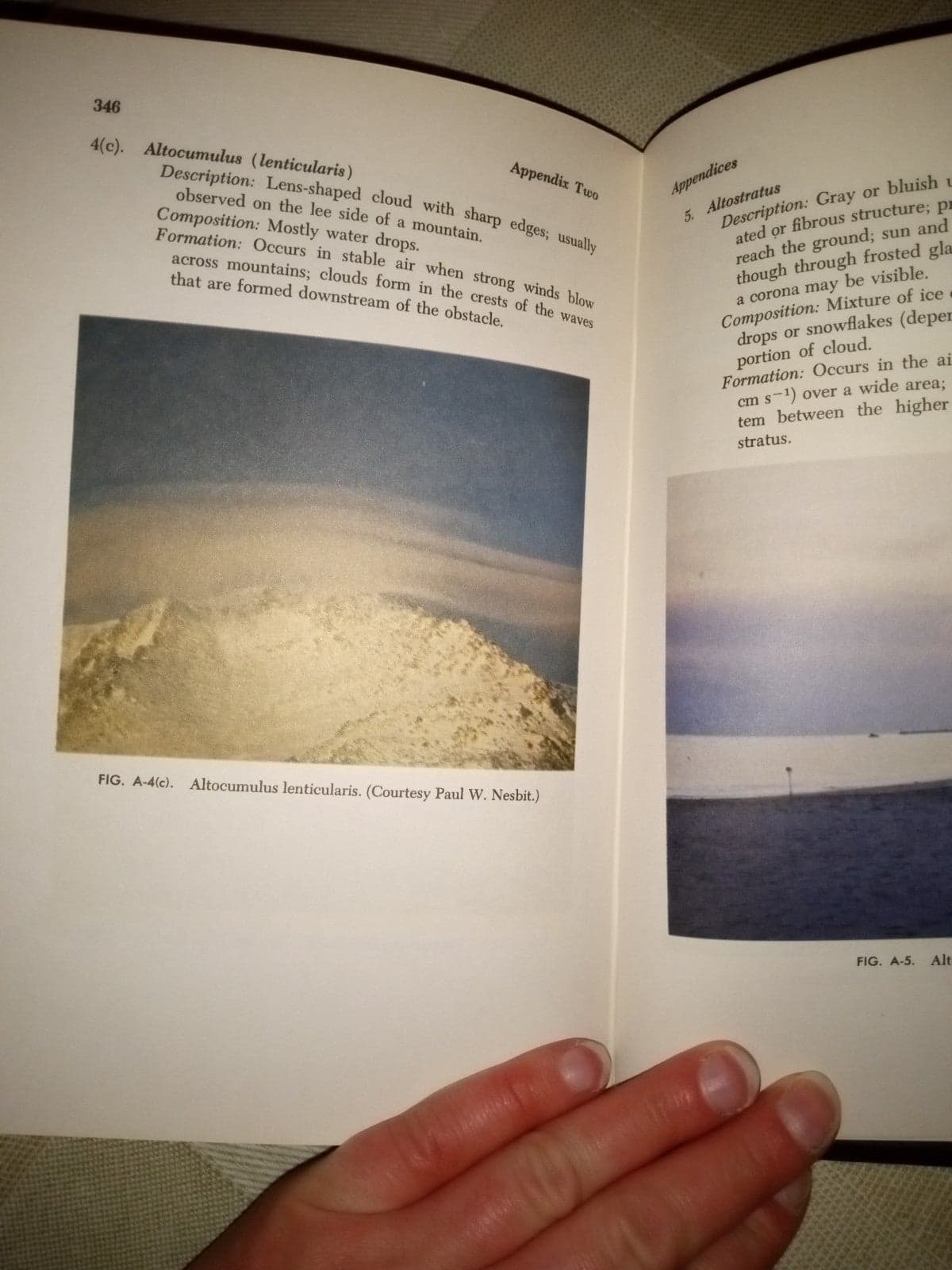 Elements of Meteorology by Albert Miller & Jack C. Thompson - Thumbnail 4